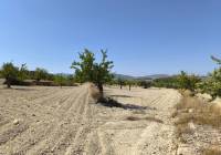 Venta - Terreno - Monovar - Rural location