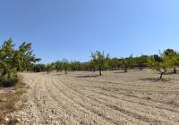 Venta - Terreno - Monovar - Rural location