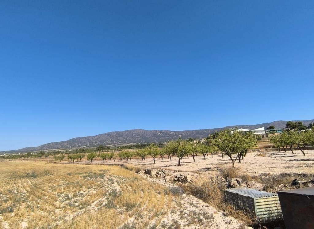 Venta - Terreno - Monovar - Rural location