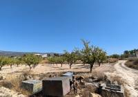 Venta - Terreno - Monovar - Rural location