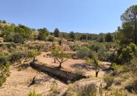 Venta - Terreno - Monovar - Rural location