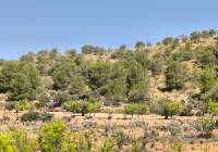 Venta - Terreno - Monovar - Rural location