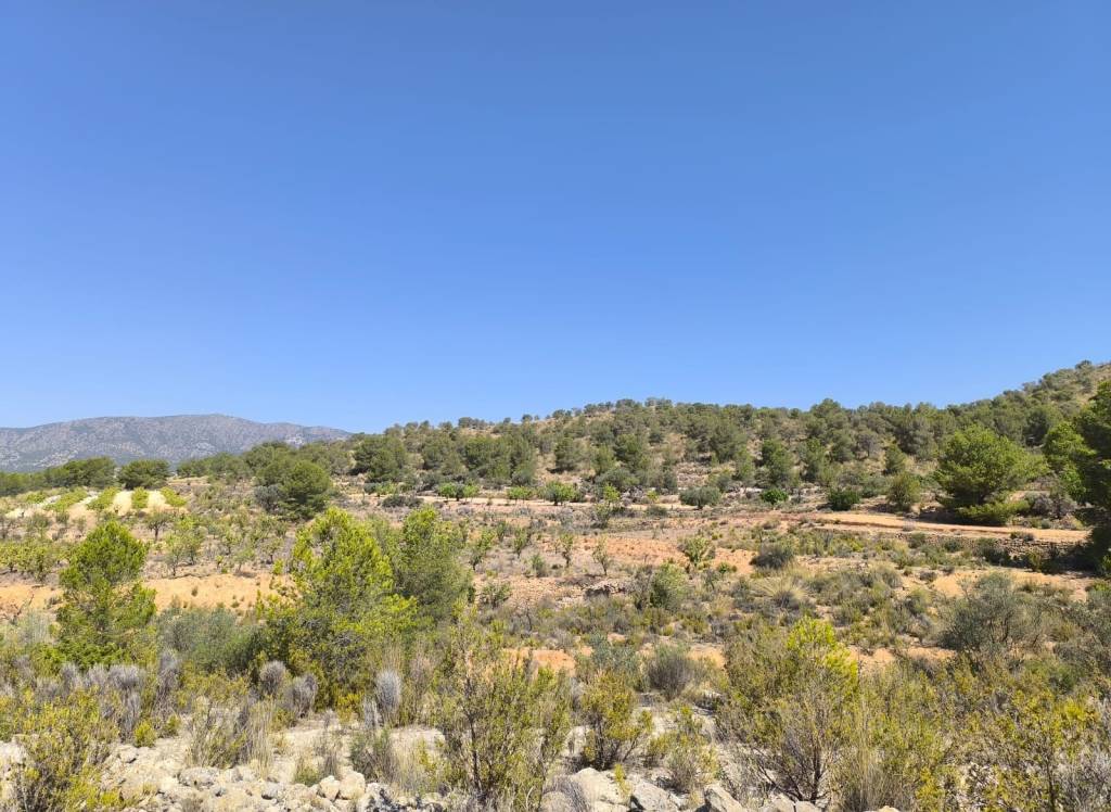 Venta - Terreno - Monovar - Rural location