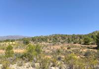 Venta - Terreno - Monovar - Rural location