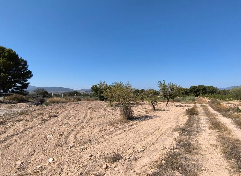 Venta - Terreno - Monovar - Rural location