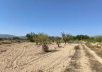 Venta - Terreno - Monovar - Rural location