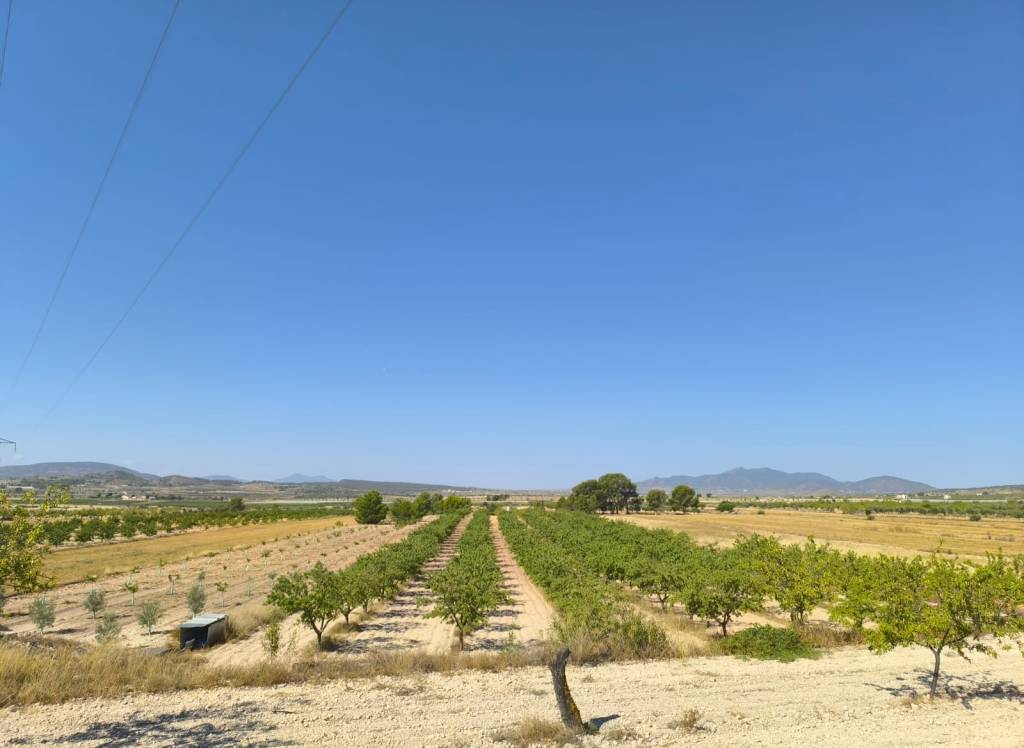 Venta - Terreno - Monovar - Rural location