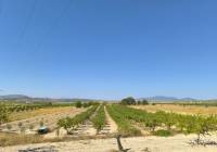 Venta - Terreno - Monovar - Rural location