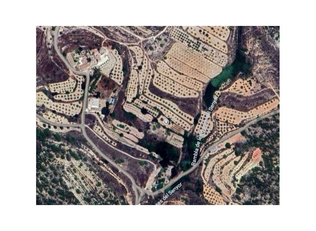 Venta - Terreno - Monovar - Rural location