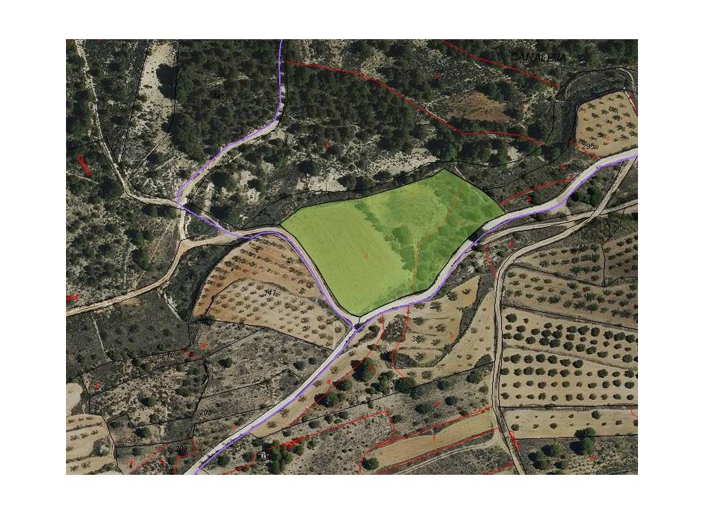 Venta - Terreno - Monovar - Rural location