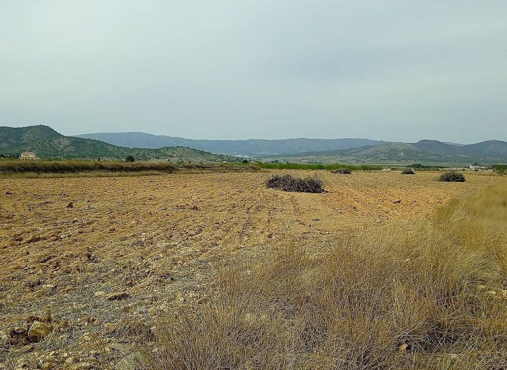 Venta - Terreno - Monovar