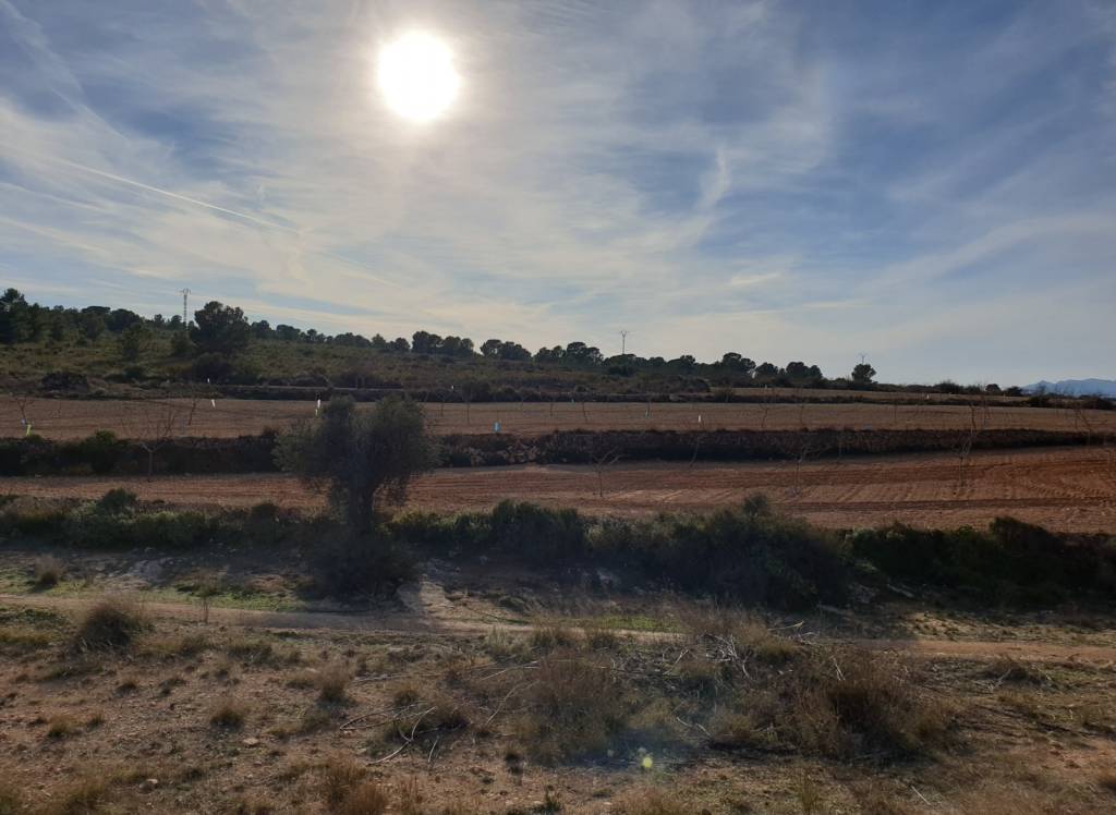 Venta - Terreno - Pinoso - Edge of town