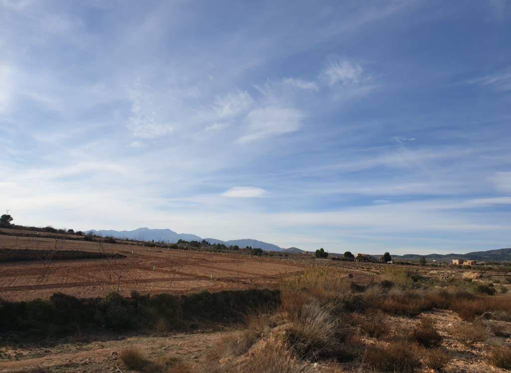 Venta - Terreno - Pinoso - Edge of town