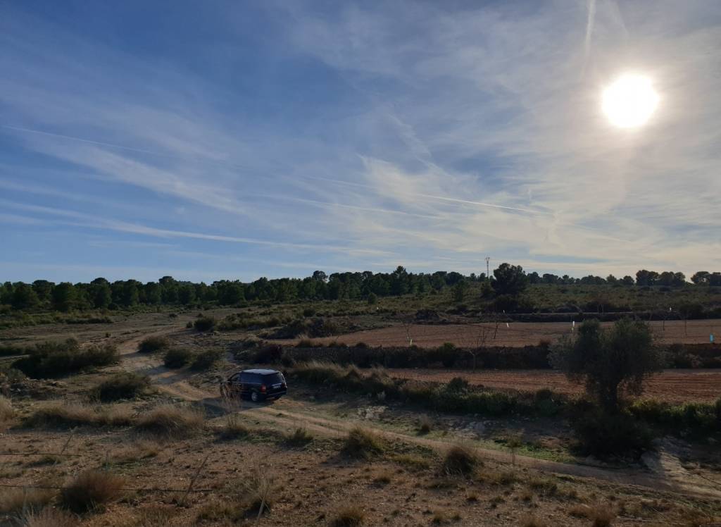 Venta - Terreno - Pinoso - Edge of town
