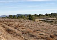 Venta - Terreno - Pinoso - Edge of town