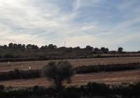 Venta - Terreno - Pinoso - Edge of town