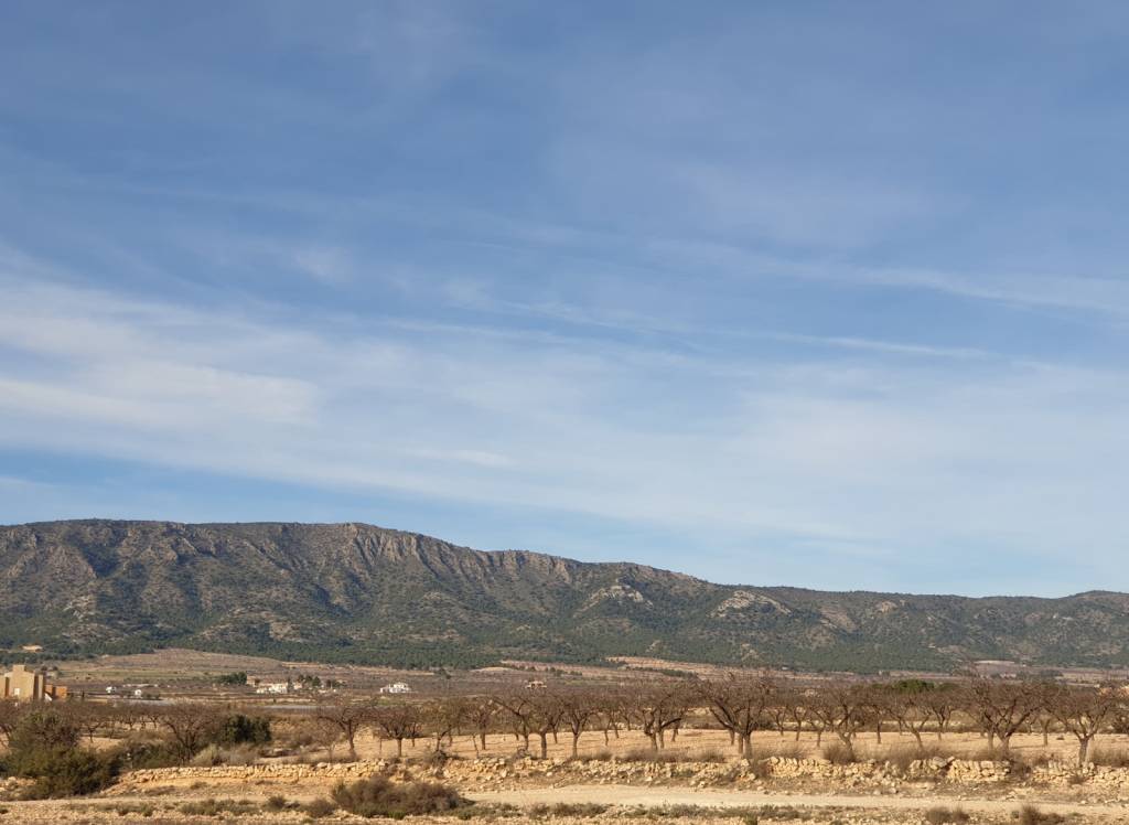 Venta - Terreno - Pinoso - Edge of town