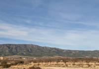 Venta - Terreno - Pinoso - Edge of town