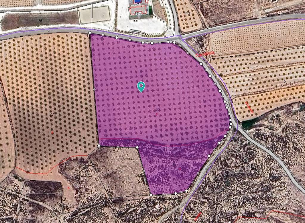 Venta - Terreno - Pinoso - Lel