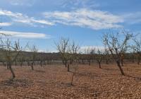 Venta - Terreno - Pinoso - Lel