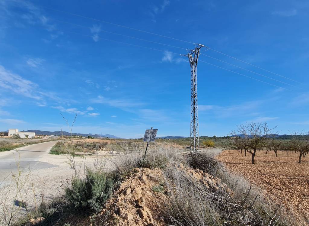 Venta - Terreno - Pinoso - Lel