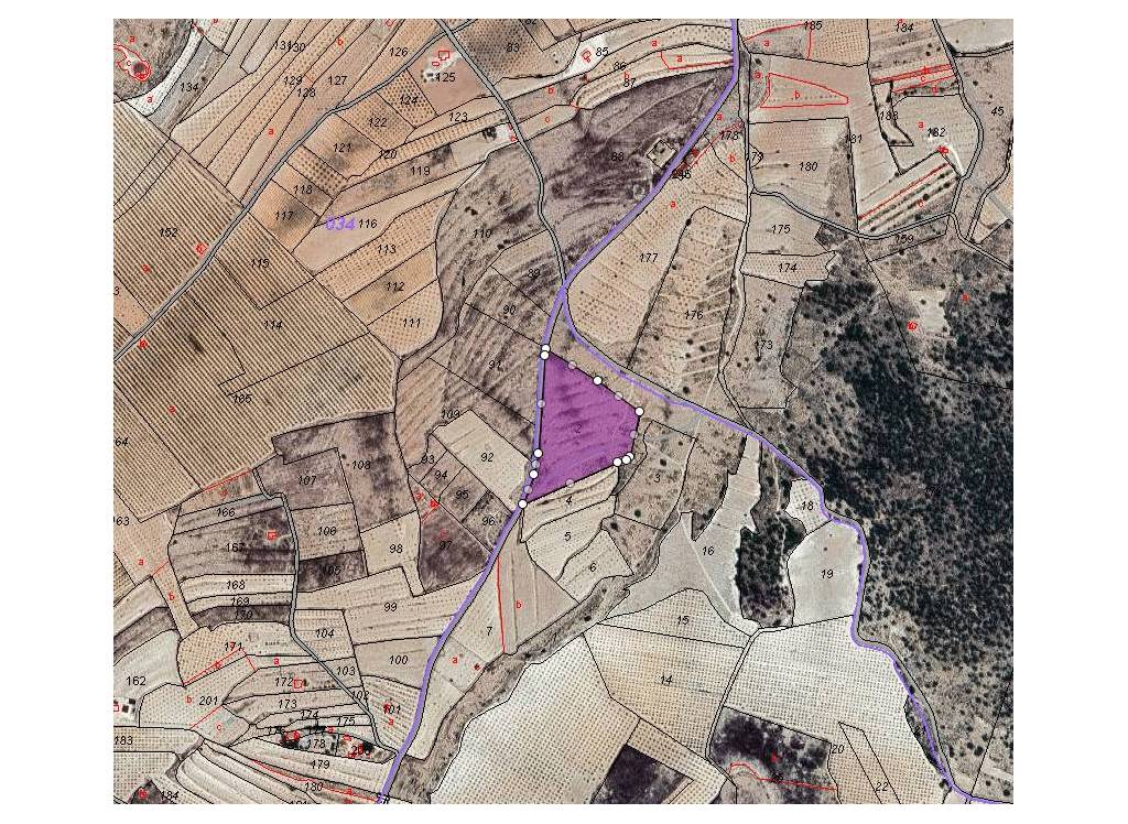 Venta - Terreno - Pinoso - Lel