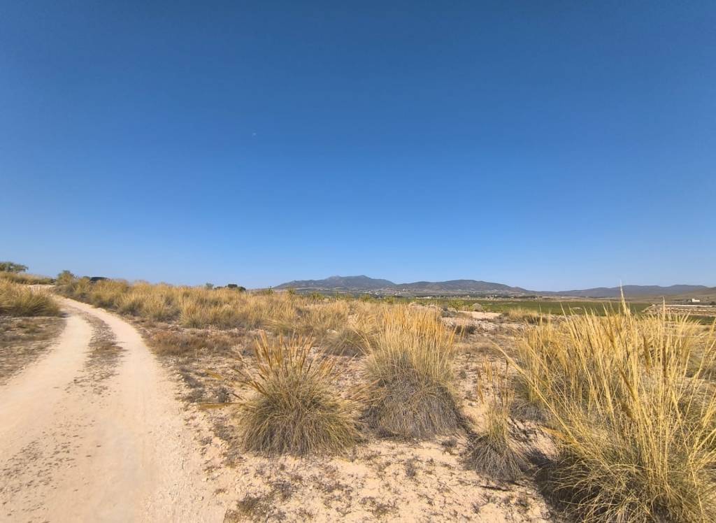 Venta - Terreno - Pinoso - Lel