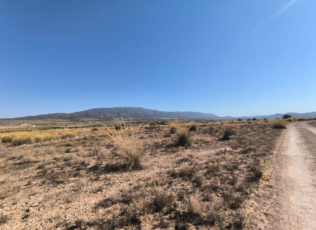 Venta - Terreno - Pinoso - Lel