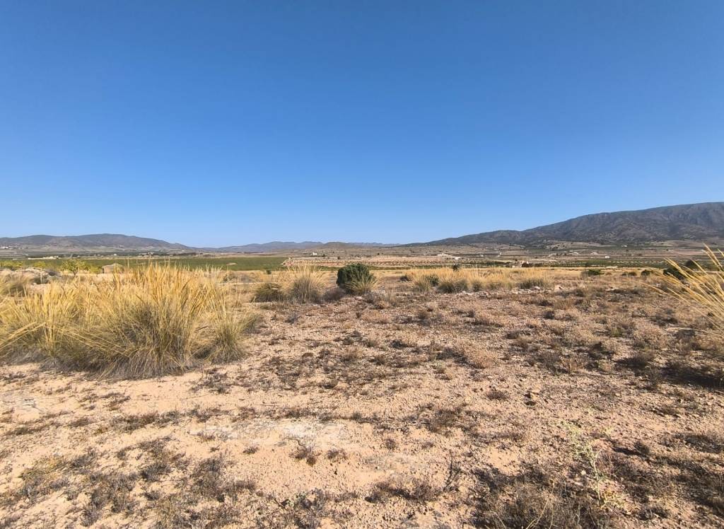 Venta - Terreno - Pinoso - Lel