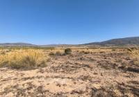 Venta - Terreno - Pinoso - Lel