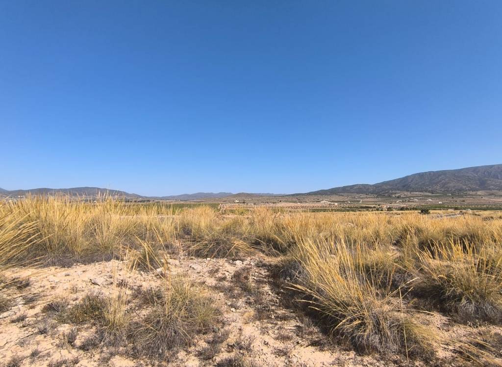 Venta - Terreno - Pinoso - Lel