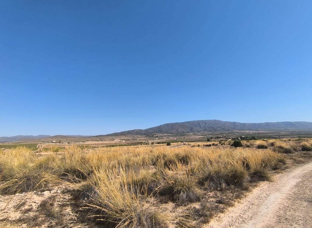 Venta - Terreno - Pinoso - Lel