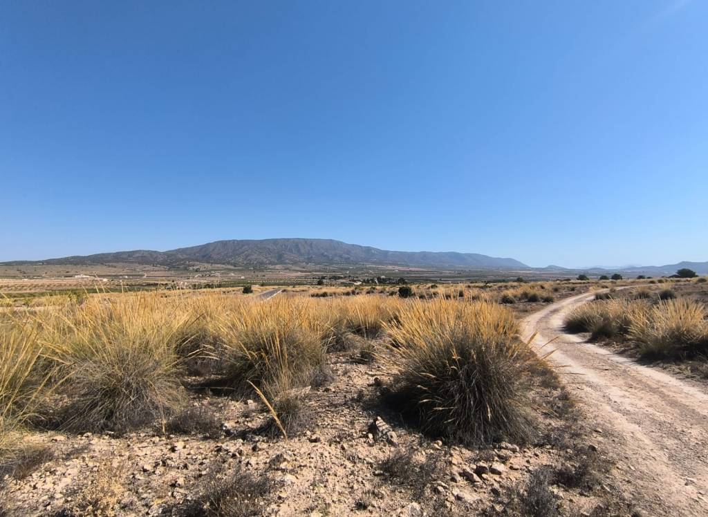 Venta - Terreno - Pinoso - Lel