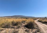 Venta - Terreno - Pinoso - Lel