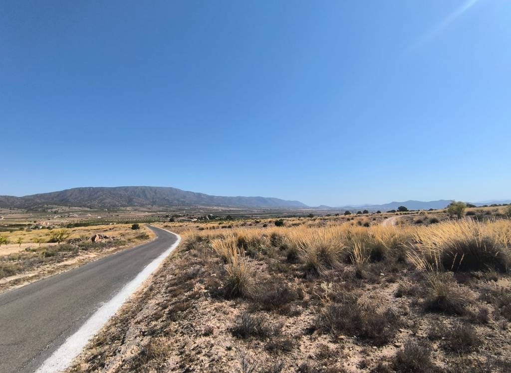 Venta - Terreno - Pinoso - Lel