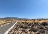 Venta - Terreno - Pinoso - Lel