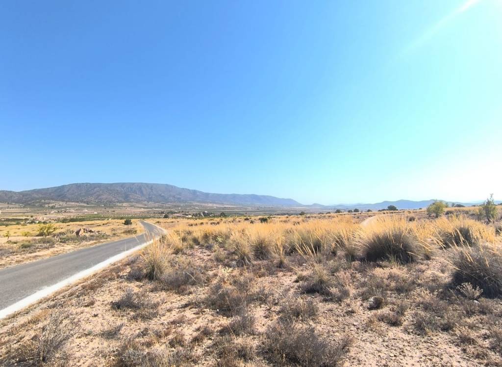 Venta - Terreno - Pinoso - Lel