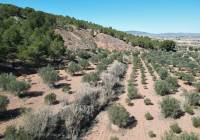 Venta - Terreno - Pinoso - Pinoso - El Pinós