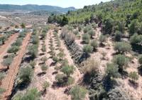 Venta - Terreno - Pinoso - Pinoso - El Pinós