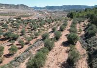 Venta - Terreno - Pinoso - Pinoso - El Pinós