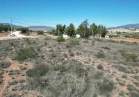 Venta - Terreno - Pinoso - Pinoso - El Pinós