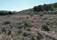 Venta - Terreno - Pinoso - Pinoso - El Pinós