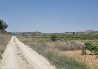 Venta - Terreno - Pinoso - Pinoso - El Pinós