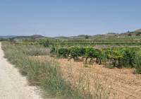 Venta - Terreno - Pinoso - Pinoso - El Pinós