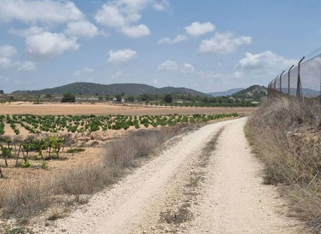 Venta - Terreno - Pinoso - Pinoso - El Pinós