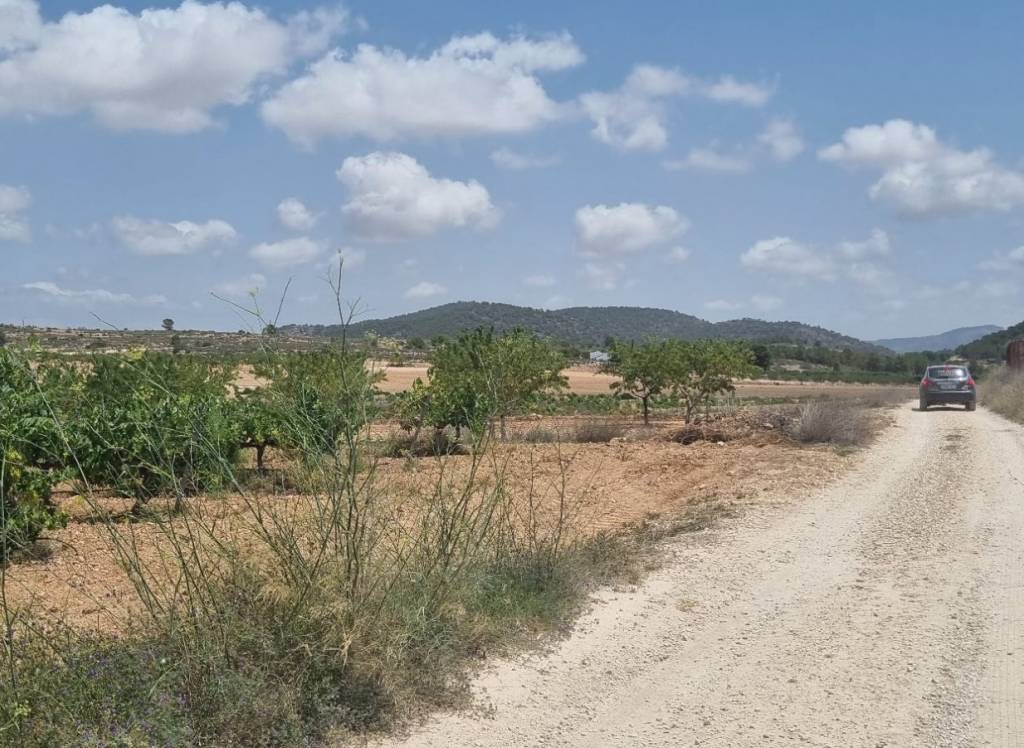Venta - Terreno - Pinoso - Pinoso - El Pinós