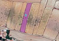 Venta - Terreno - Pinoso - Pinoso - El Pinós