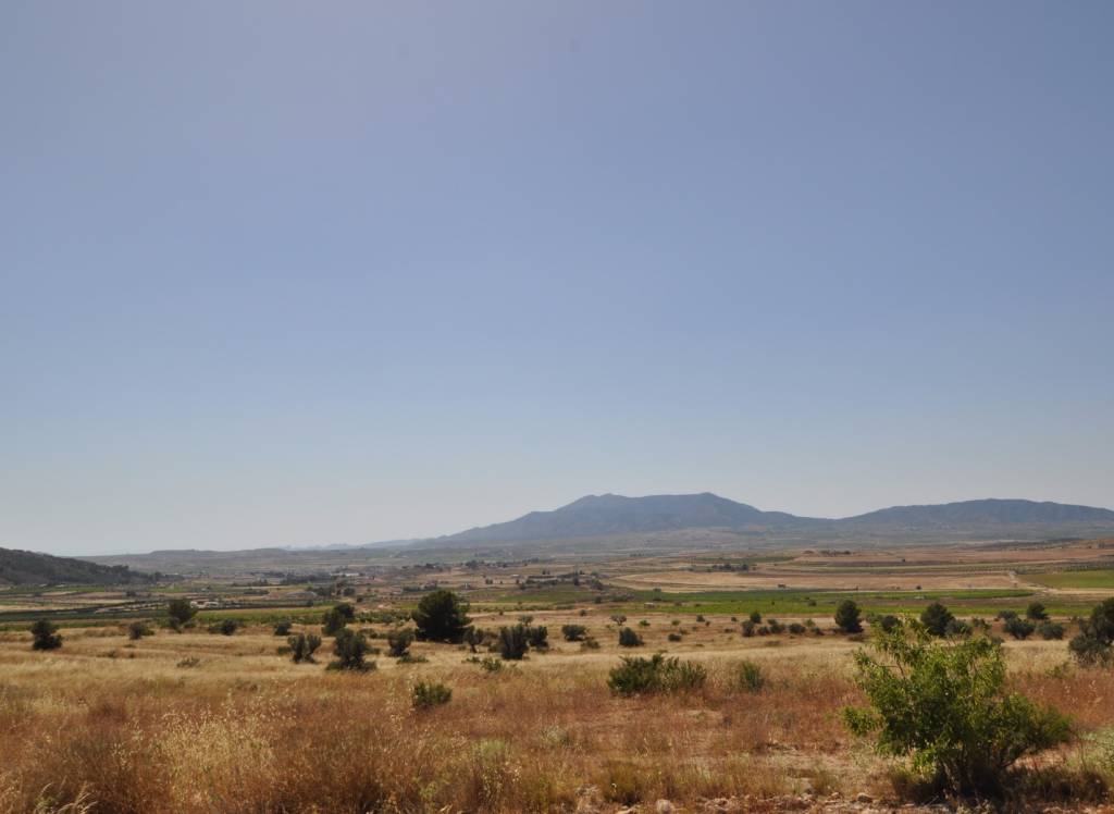 Venta - Terreno - Pinoso - Rural location