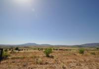 Venta - Terreno - Pinoso - Rural location