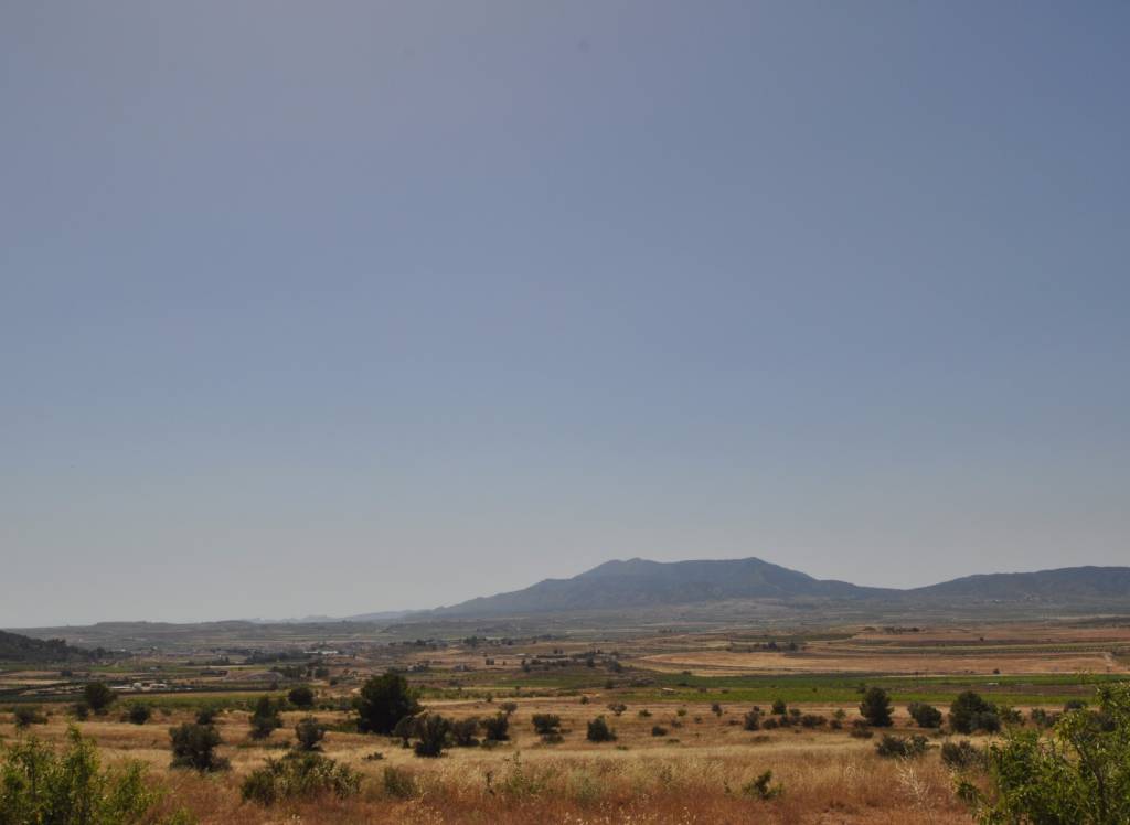 Venta - Terreno - Pinoso - Rural location